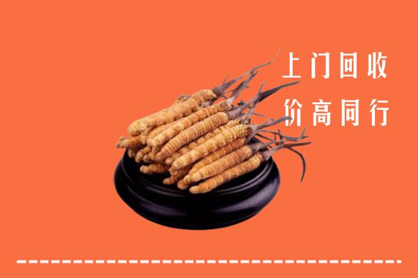 高价求购：上杭县回收散虫草