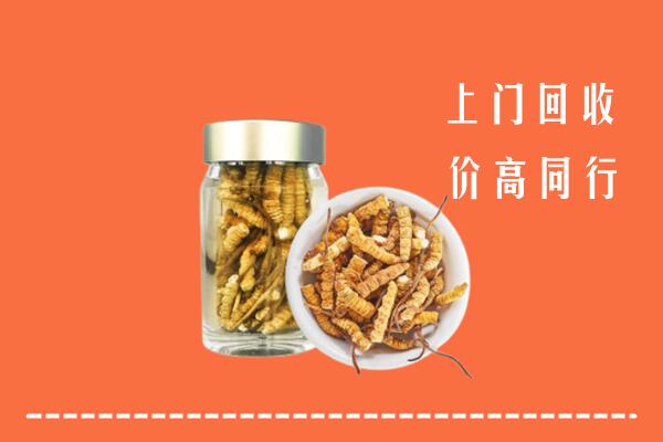上杭县回收冬虫夏草